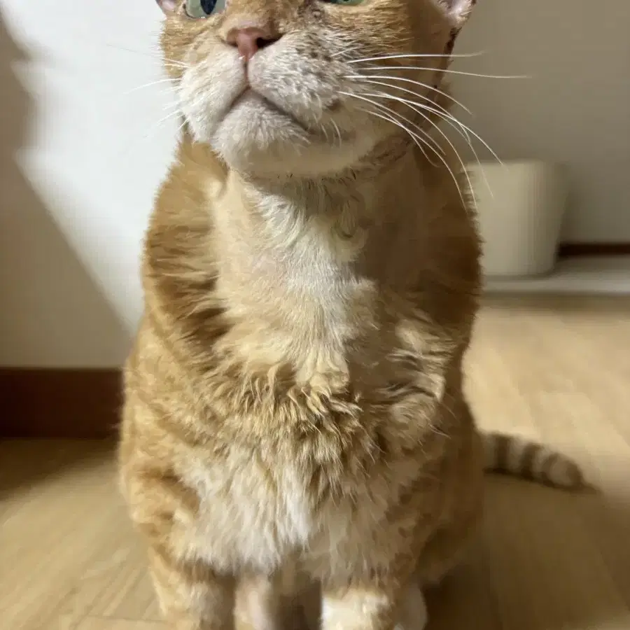 시계