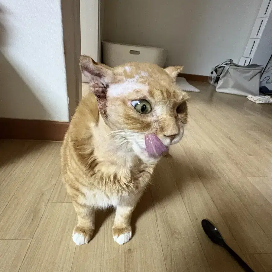 가방
