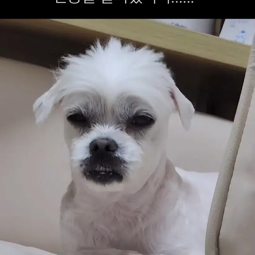ㅓ멈