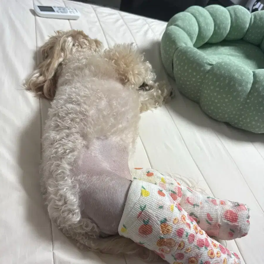 ㅓ멈